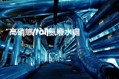 “高硝態(tài)氮廢水處理，綠色環(huán)保新篇章”